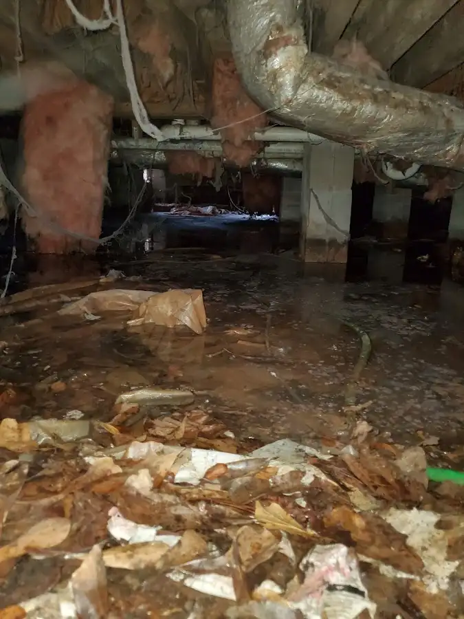 Crawl space flood assessment for Leak Detection & Repair in Lynbrook