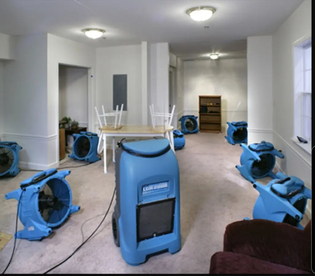 Air movers and dehumidifier setup for Water Extraction & Removal in Lynbrook