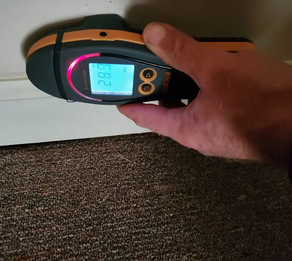 Moisture detection at baseboard during Mold Inspection & Testing in Lynbrook
